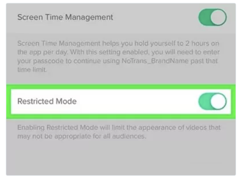 Restricted Mode for TikTok