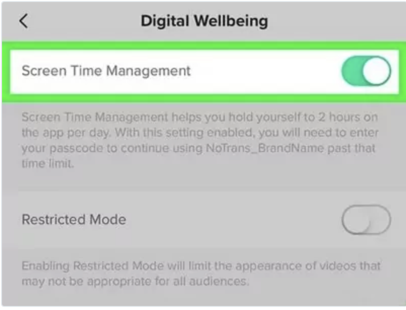 Screen Time Management for TikTok