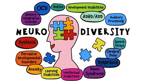 Understanding Neurodiversity